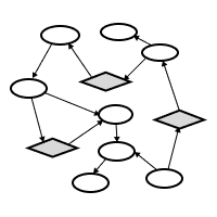 Connected Branches