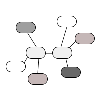 Dual branch